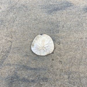 Meet your Posher, Todd